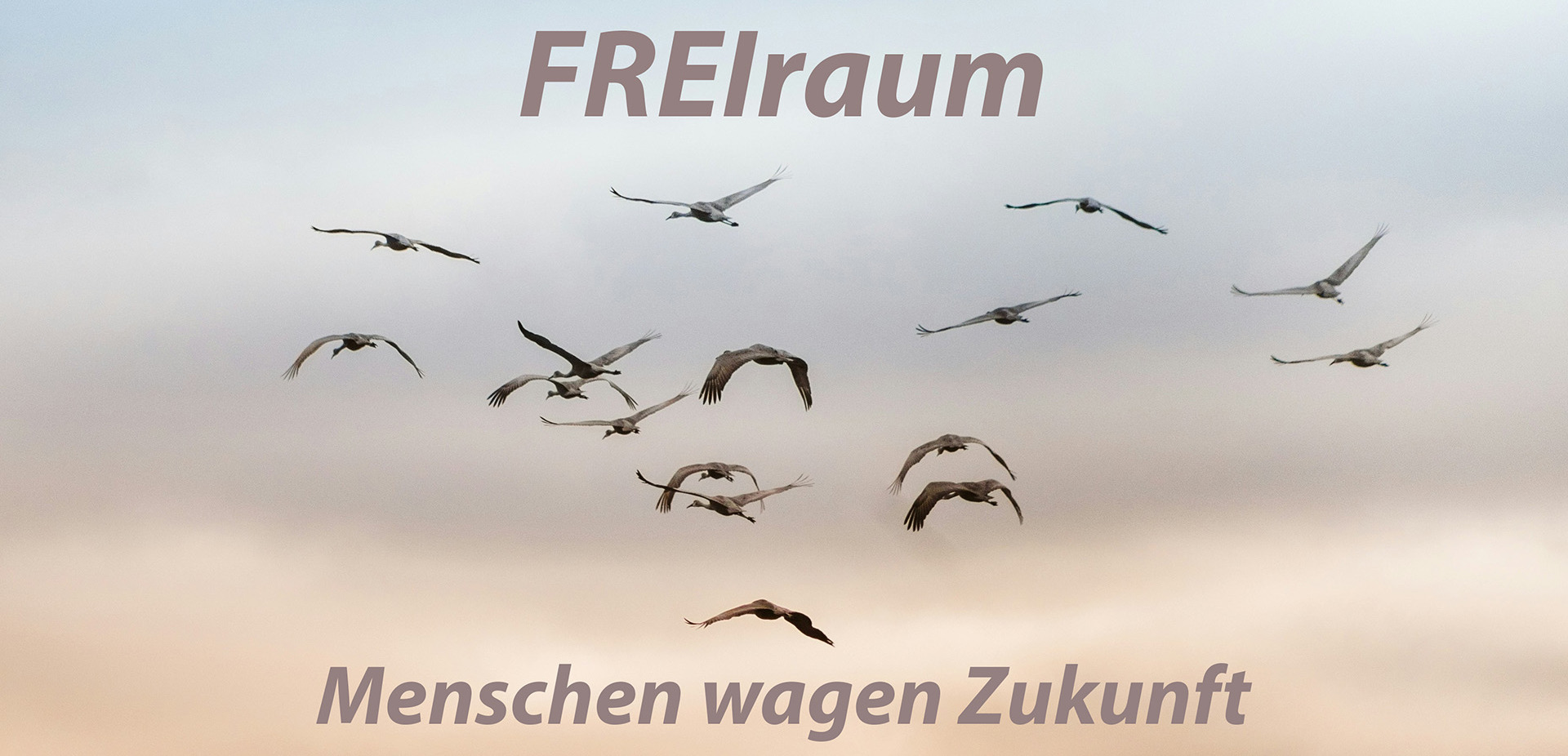 FREIraum geht an den Start